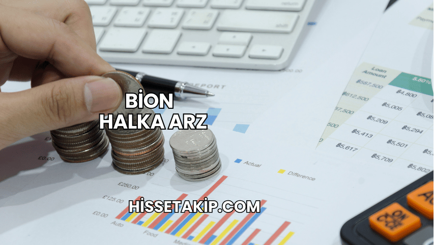 BİON Halka Arz