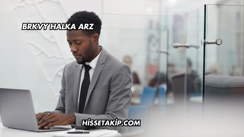 BRKVY Halka Arz