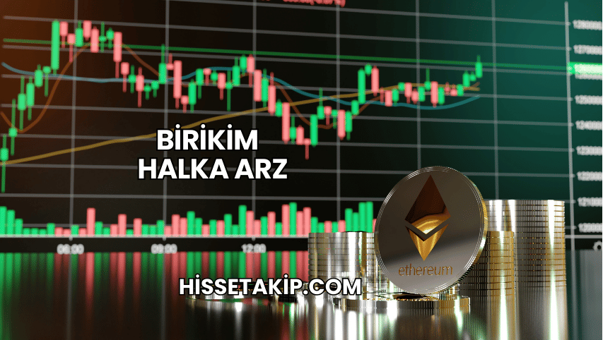 Birikim Halka Arz