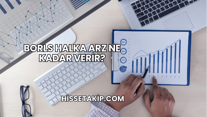 Borls Halka Arz Ne Kadar Verir?
