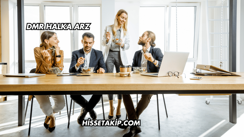 DMR Halka Arz