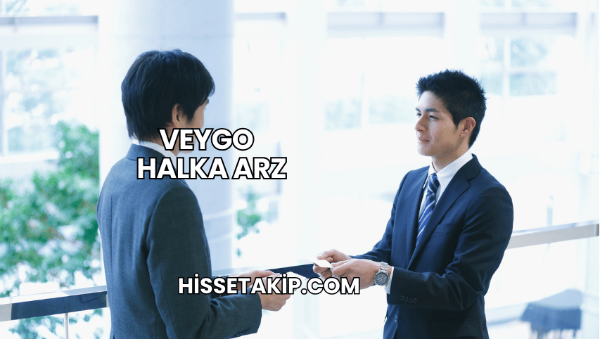 Veygo Halka Arz