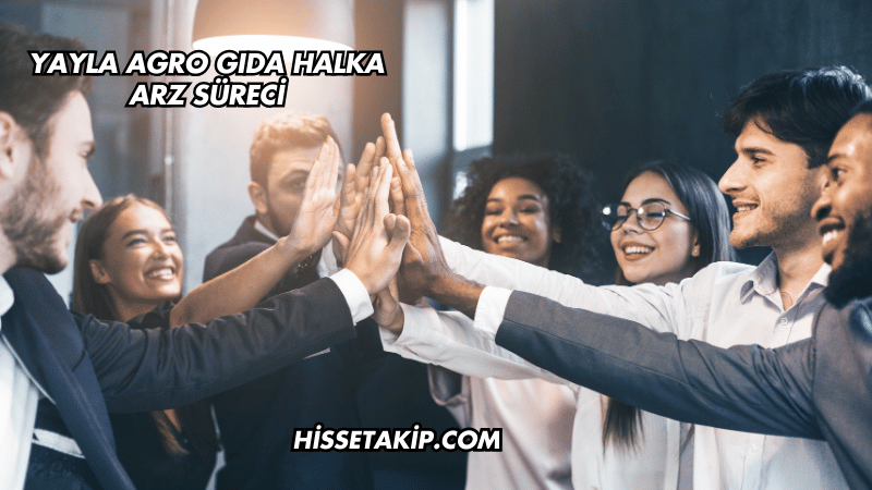 Yayla Agro Gıda Halka Arz Süreci