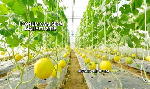 1 Dönüm Cam Sera Maliyeti 2025