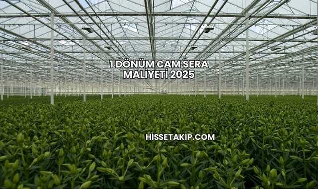 1 Dönüm Cam Sera Maliyeti 2025