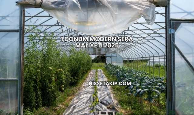 1 Dönüm Modern Sera Maliyeti 2025