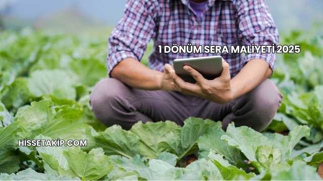 1 Dönüm Sera Maliyeti 2025