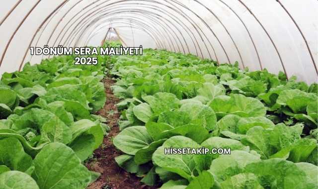1 Dönüm Sera Maliyeti 2025