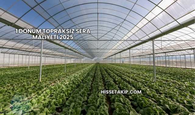 1 Dönüm Topraksız Sera Maliyeti 2025