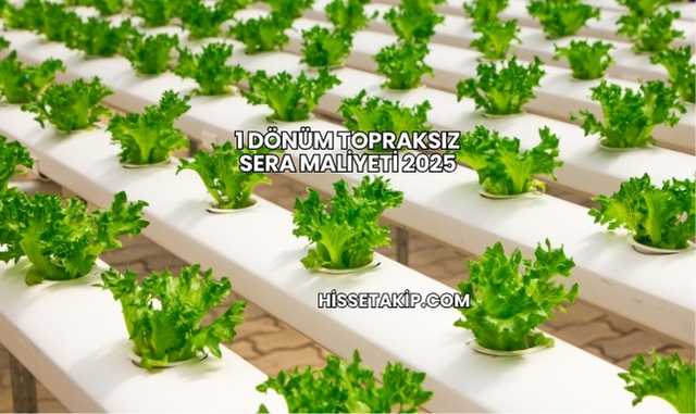 1 Dönüm Topraksız Sera Maliyeti 2025