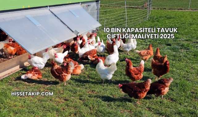 10 Bin Kapasiteli Tavuk Çiftliği Maliyeti 2025