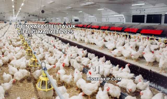10 Bin Kapasiteli Tavuk Çiftliği Maliyeti 2025
