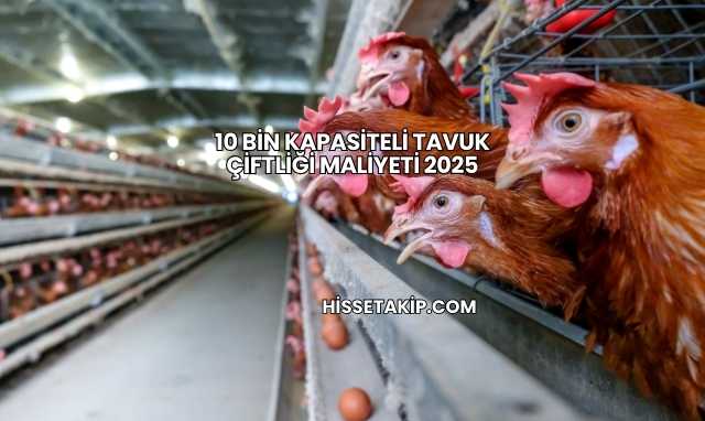 10 Bin Kapasiteli Tavuk Çiftliği Maliyeti 2025