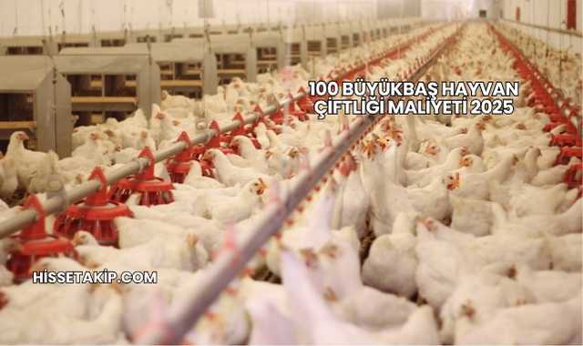 100 Büyükbaş Hayvan Çiftliği Maliyeti 2025