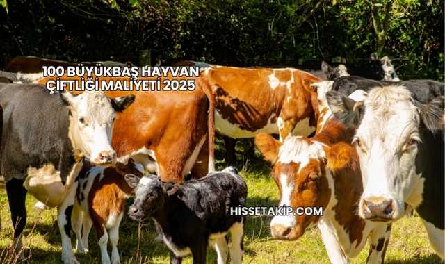 100 Büyükbaş Hayvan Çiftliği Maliyeti 2025