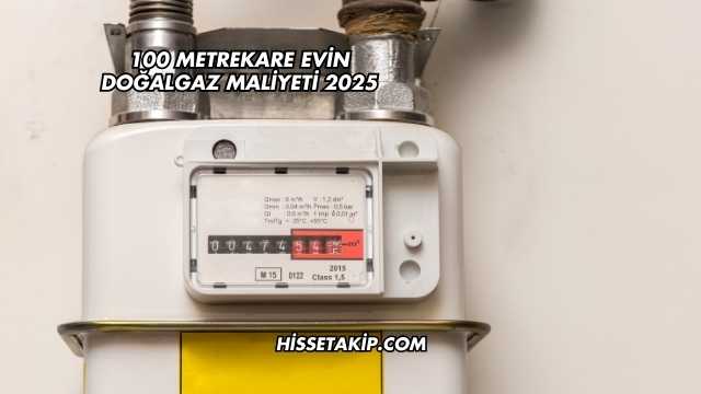 100 Metrekare Evin Doğalgaz Maliyeti 2025