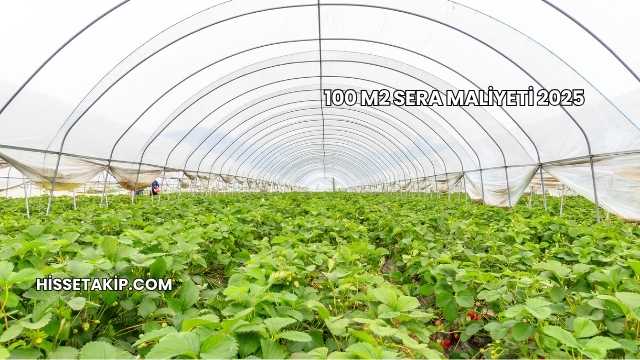 100 m2 Sera Maliyeti 2025