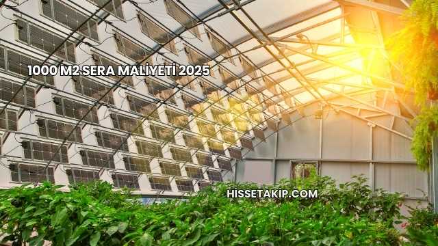 1000 m2 Sera Maliyeti 2025