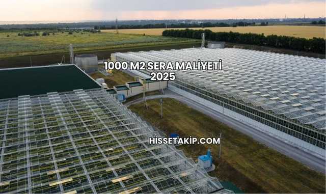 1000 m2 Sera Maliyeti 2025
