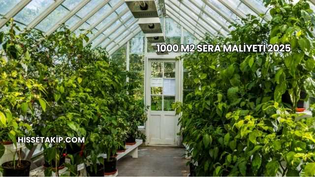 1000 m2 Sera Maliyeti 2025