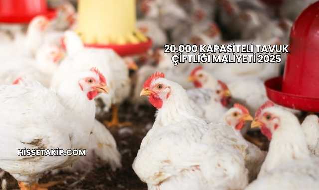 20.000 Kapasiteli Tavuk Çiftliği Maliyeti 2025
