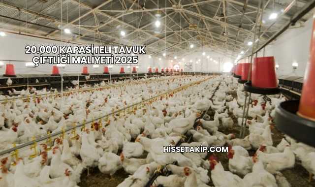 20.000 Kapasiteli Tavuk Çiftliği Maliyeti 2025