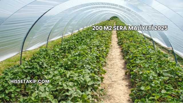200 m2 Sera Maliyeti 2025