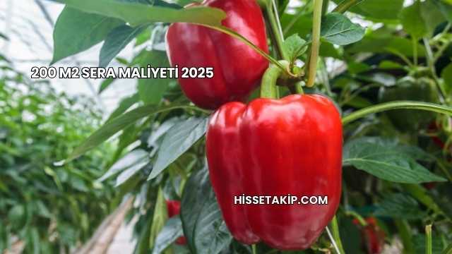200 m2 Sera Maliyeti 2025