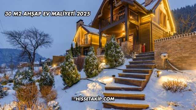 30 m2 Ahşap Ev Maliyeti 2025