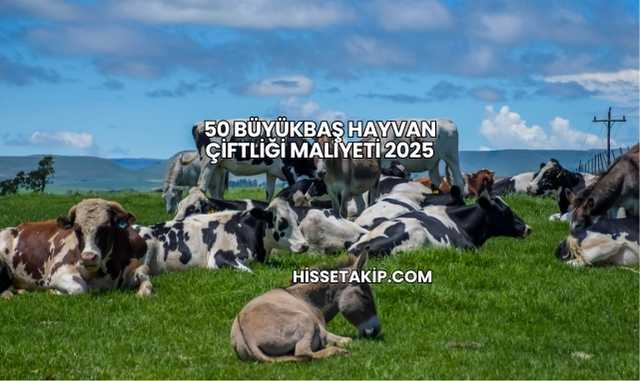 50 Büyükbaş Hayvan Çiftliği Maliyeti 2025