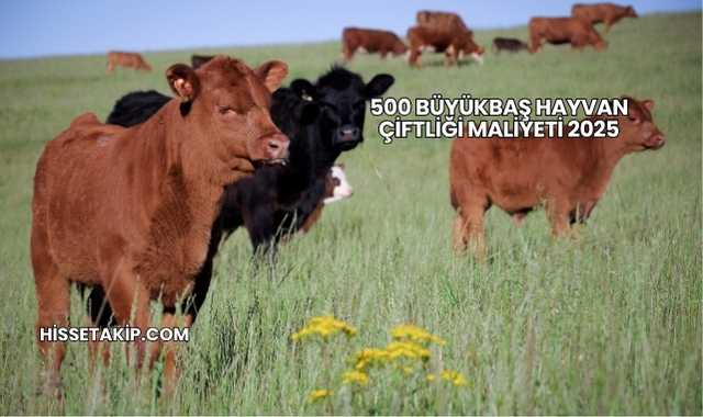 500 Büyükbaş Hayvan Çiftliği Maliyeti 2025