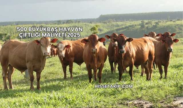 500 Büyükbaş Hayvan Çiftliği Maliyeti 2025