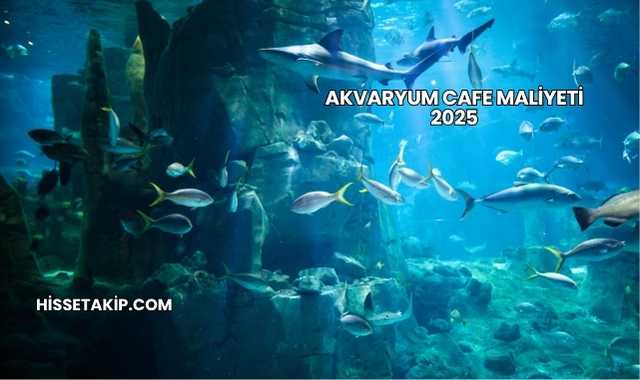 Akvaryum Cafe Maliyeti 2025