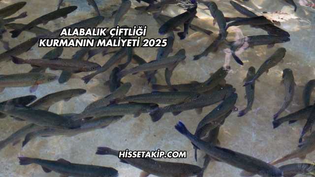 Alabalık Çiftliği Kurmanın Maliyeti 2025