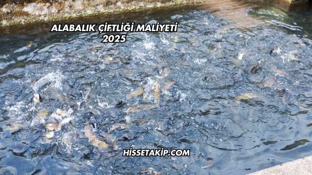 Alabalık Çiftliği Maliyeti 2025