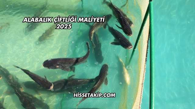 Alabalık Çiftliği Maliyeti 2025