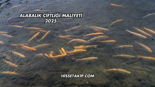 Alabalık Çiftliği Maliyeti 2025