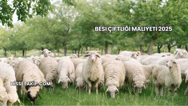 Besi Çiftliği Maliyeti 2025