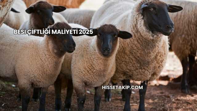 Besi Çiftliği Maliyeti 2025
