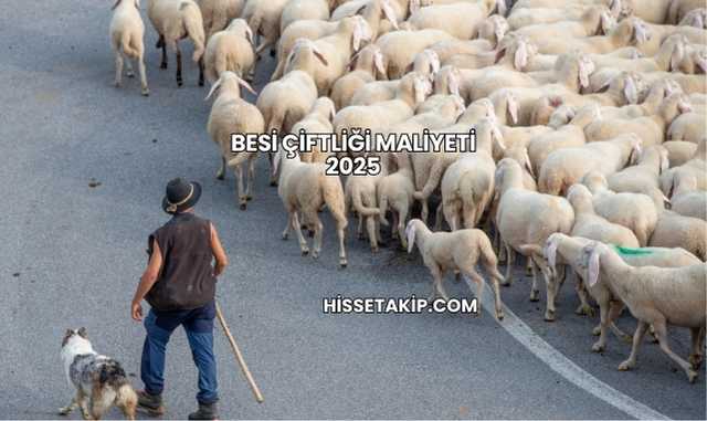 Besi Çiftliği Maliyeti 2025