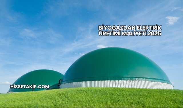 Biyogazdan Elektrik Üretimi Maliyeti 2025