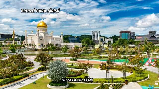 Brunei Para Birimi