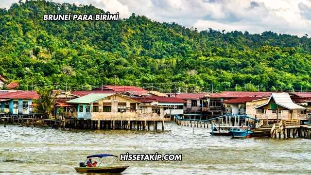Brunei Para Birimi