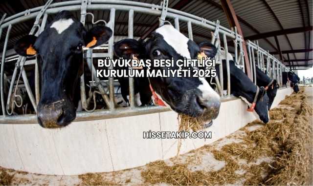Büyükbaş Besi Çiftliği Kurulum Maliyeti 2025