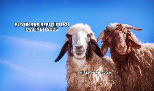 Büyükbaş Besi Çiftliği Maliyeti 2025