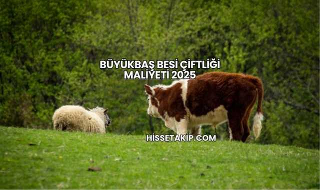 Büyükbaş Besi Çiftliği Maliyeti 2025