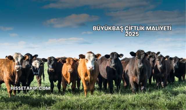 Büyükbaş Çiftlik Maliyeti 2025