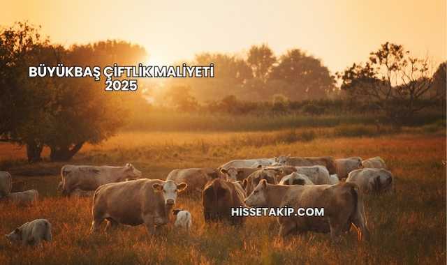 Büyükbaş Çiftlik Maliyeti 2025
