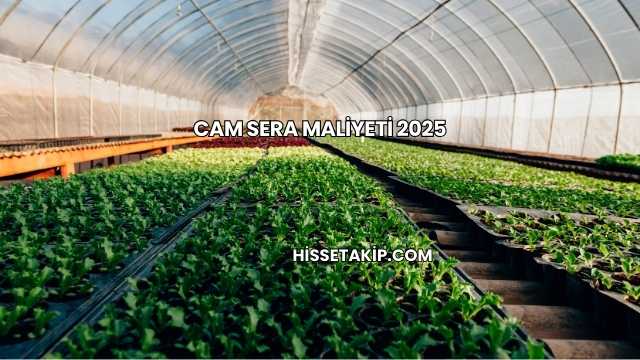 Cam Sera Maliyeti 2025