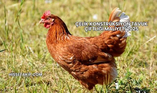Çelik Konstrüksiyon Tavuk Çiftliği Maliyeti 2025